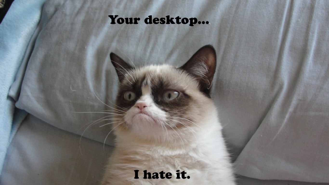 Недовольный кот на десктопе