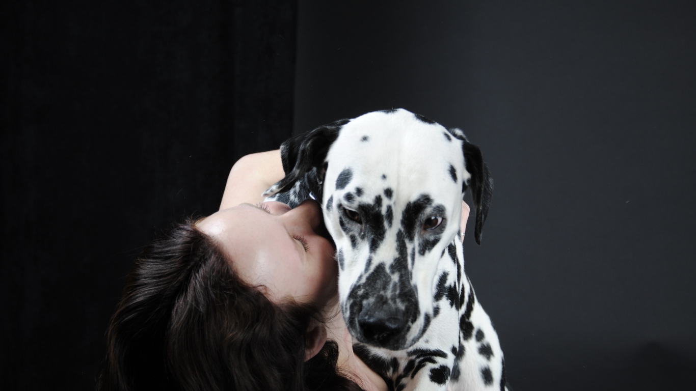 Далматин с его владельцем