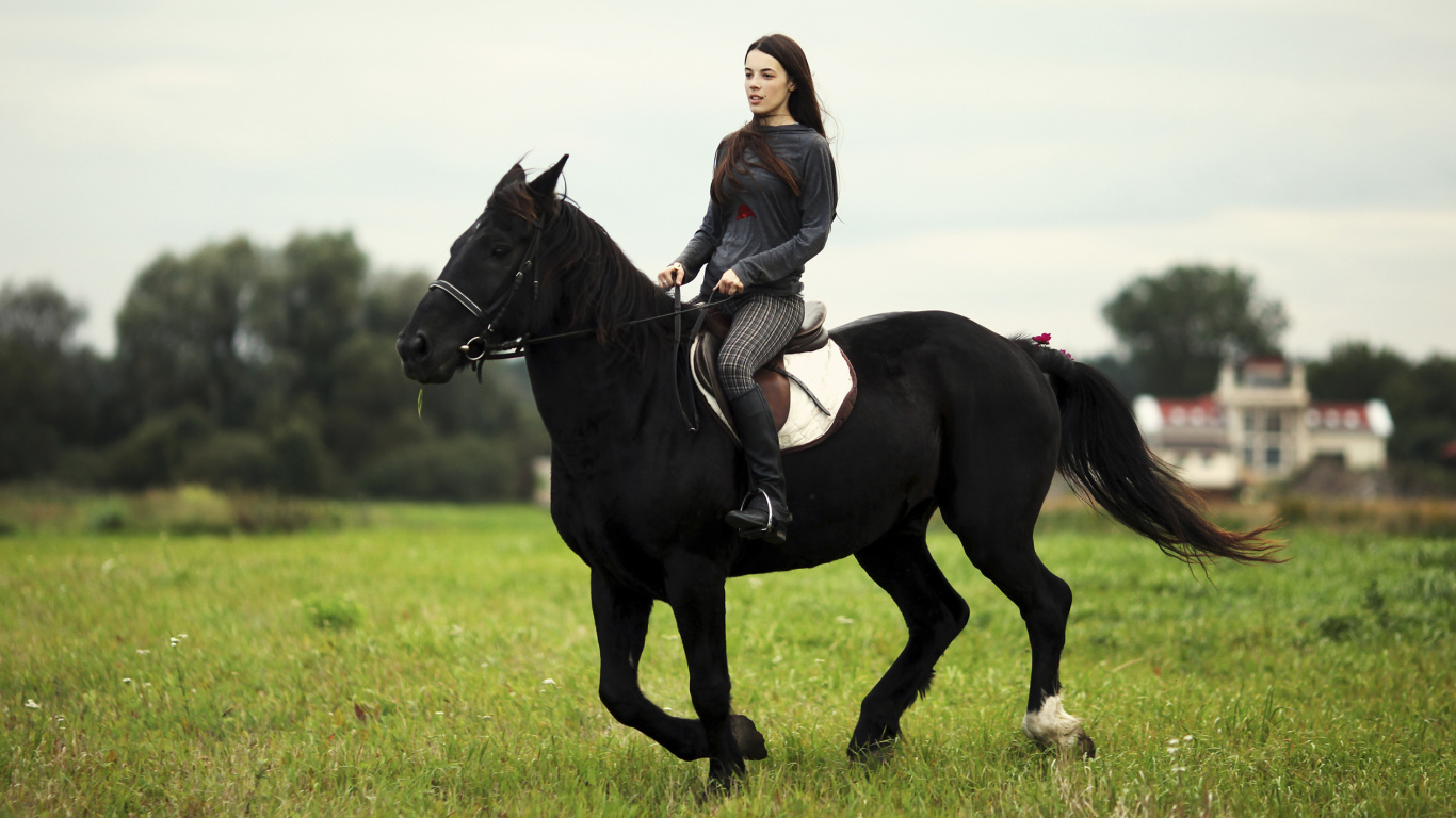 Лошадь со всадником