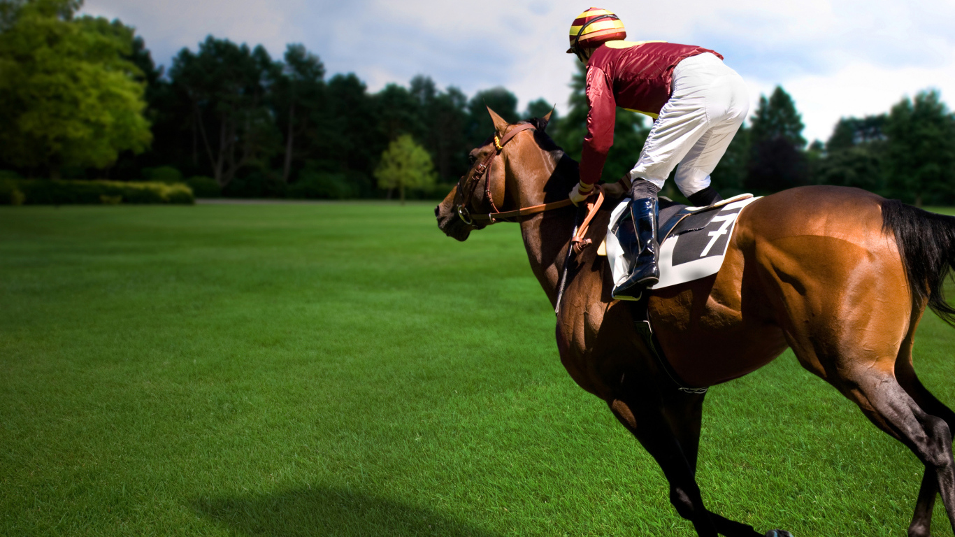 Езда на лошади