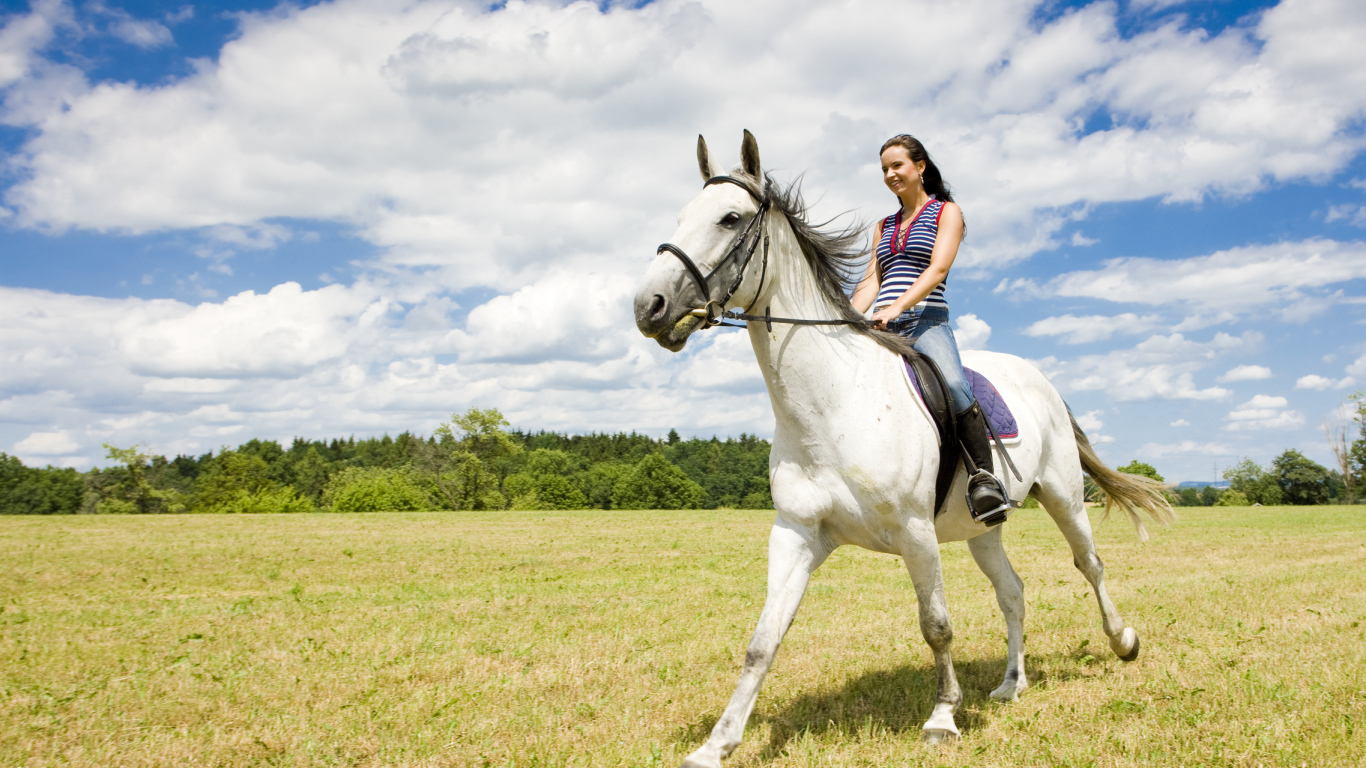 Катание на лошадях