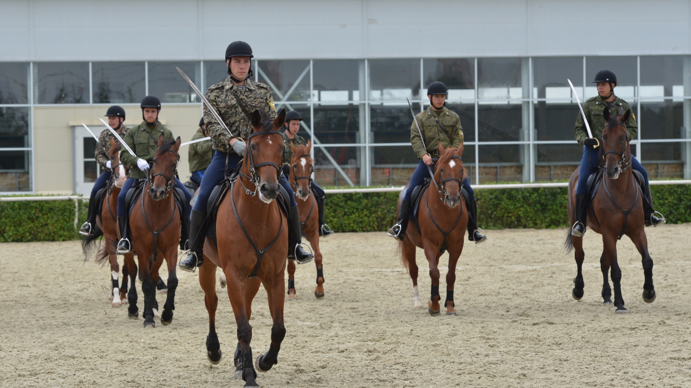 Верховая езда на лошади