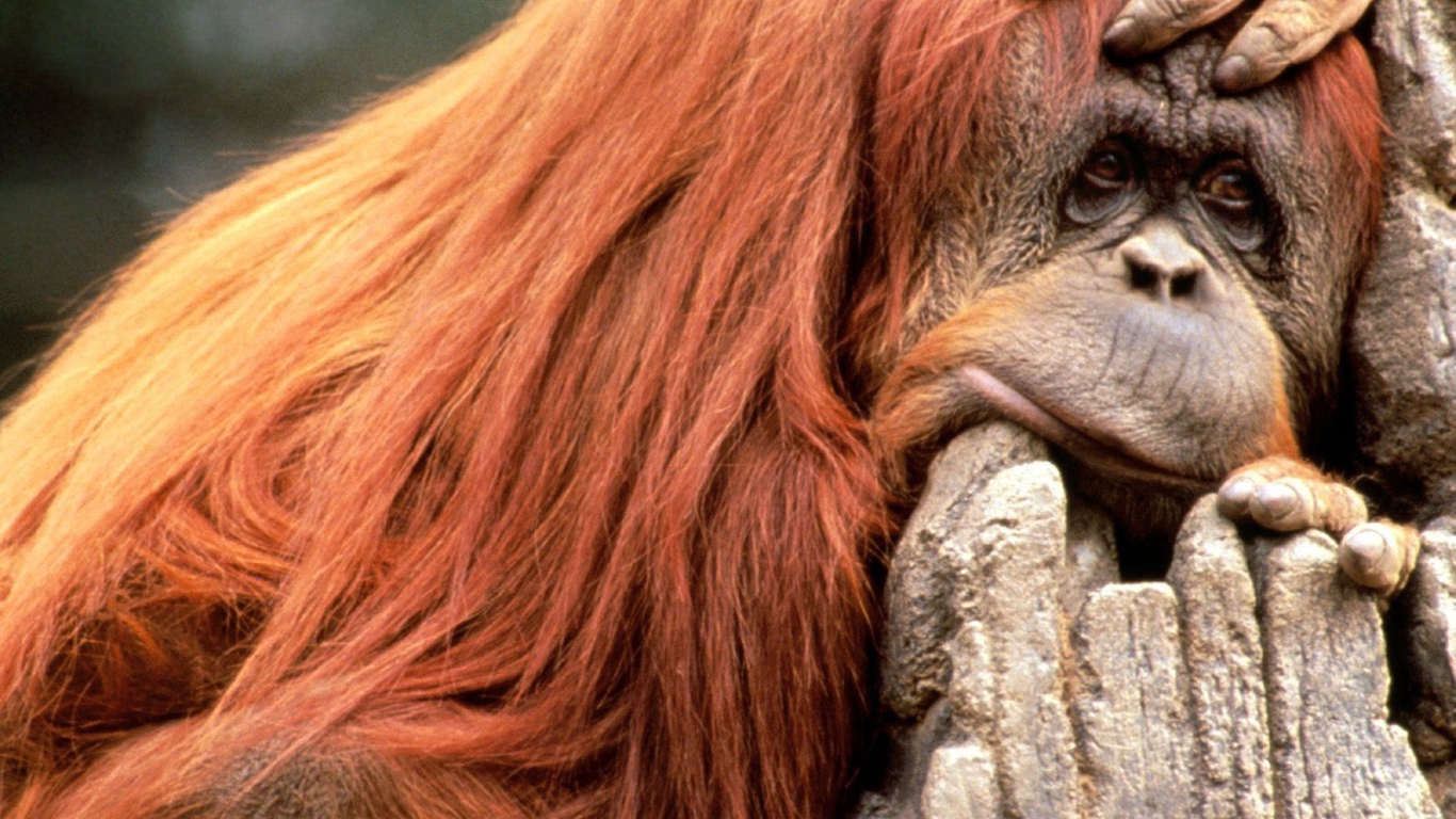 Что то я сегодня плохо выгляжу