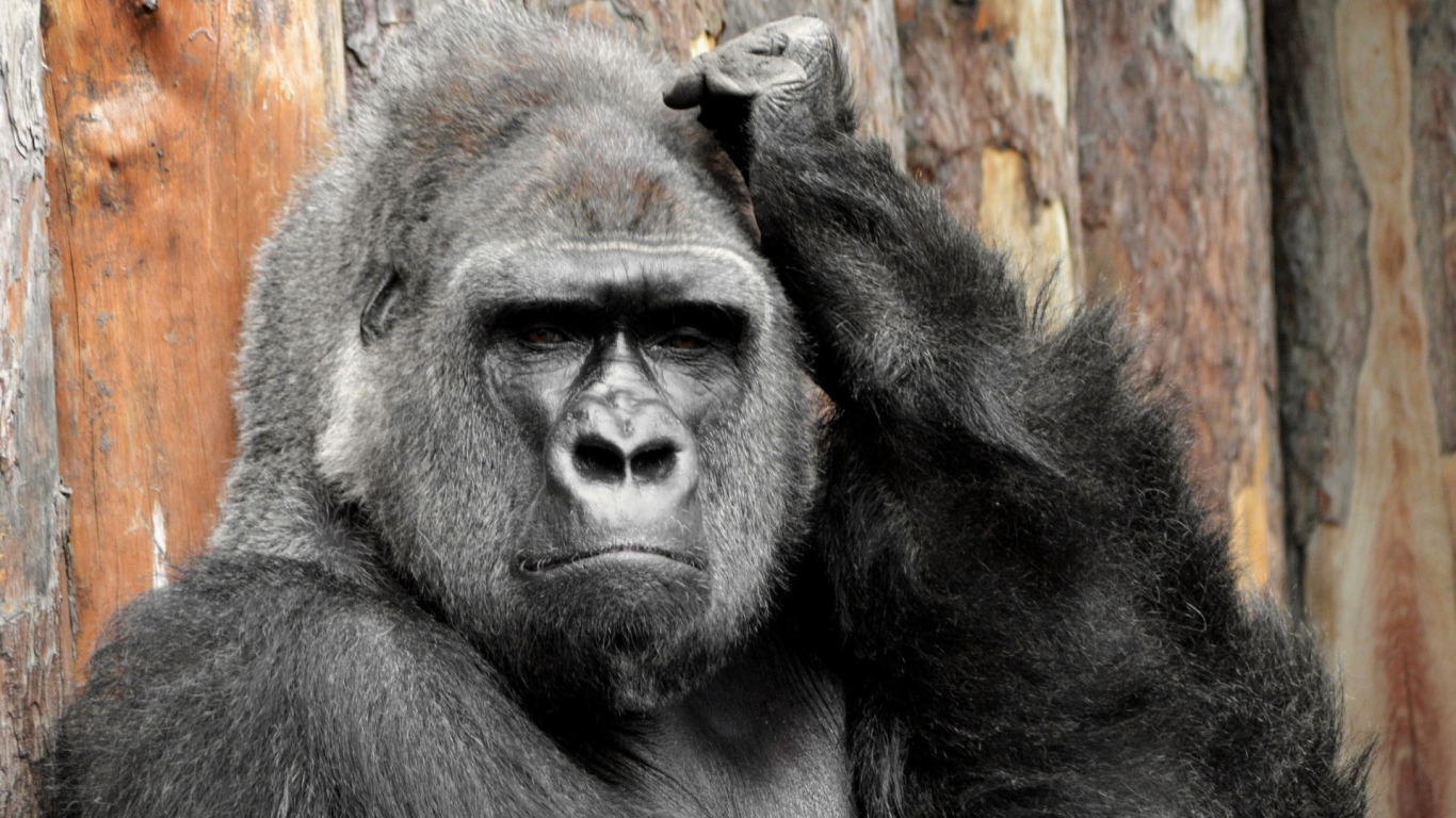 Тут надо подумать