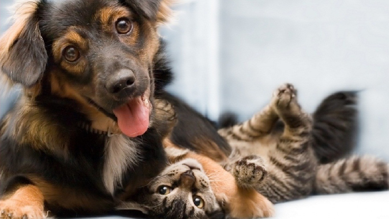 Дружба навеки