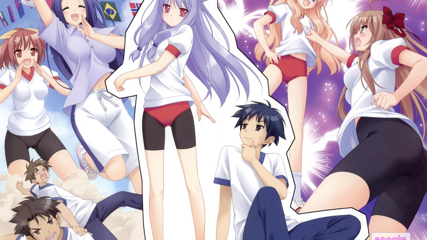 Нашествие бродячих кошек!