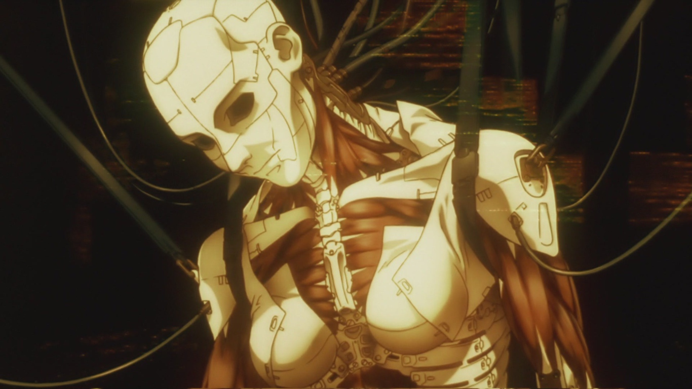 Аниматрица