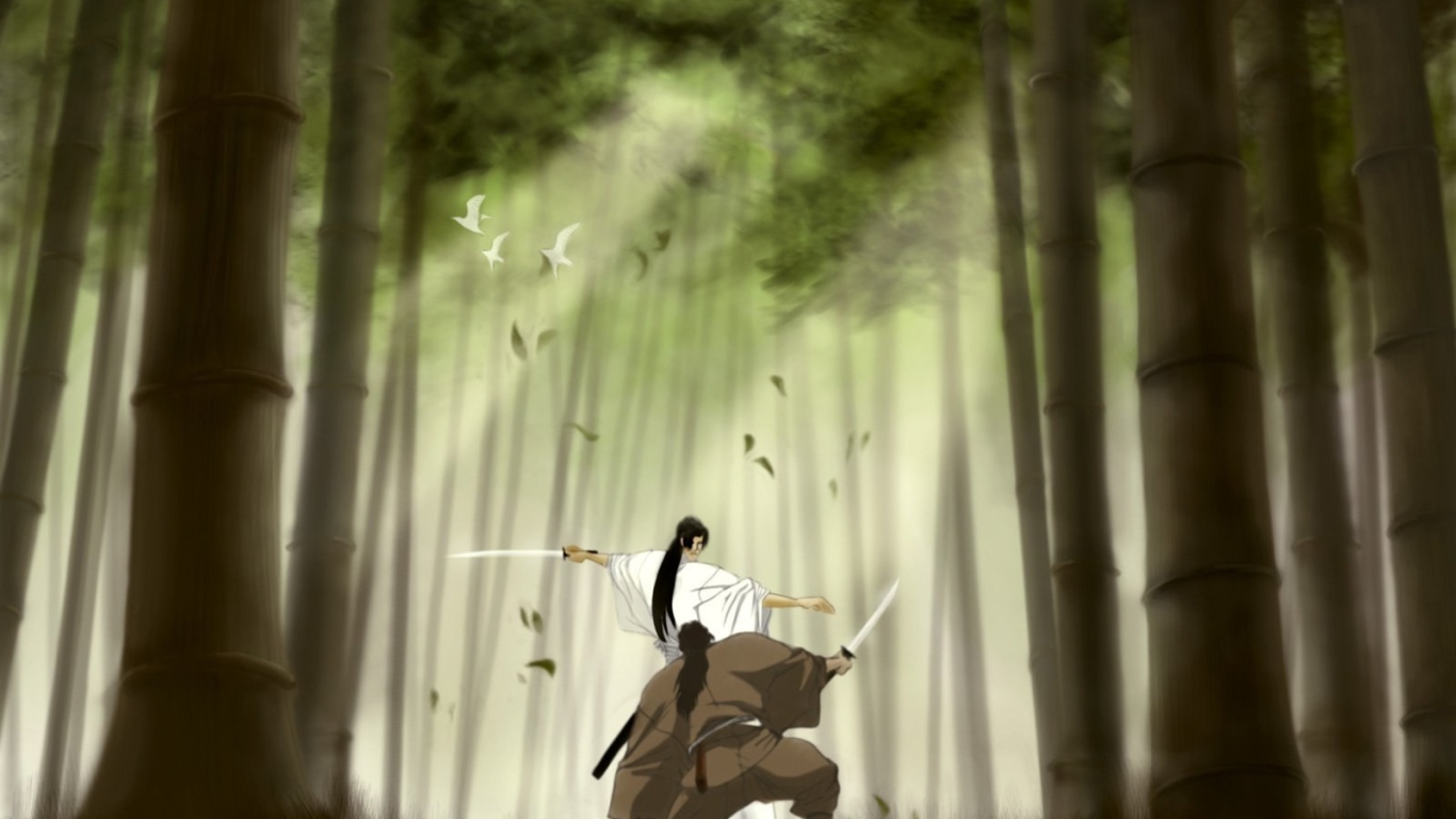 Манускрипт ниндзя