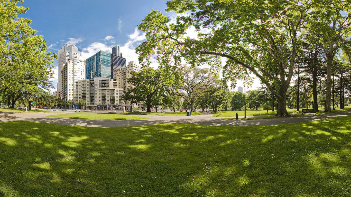 Городской парк летом