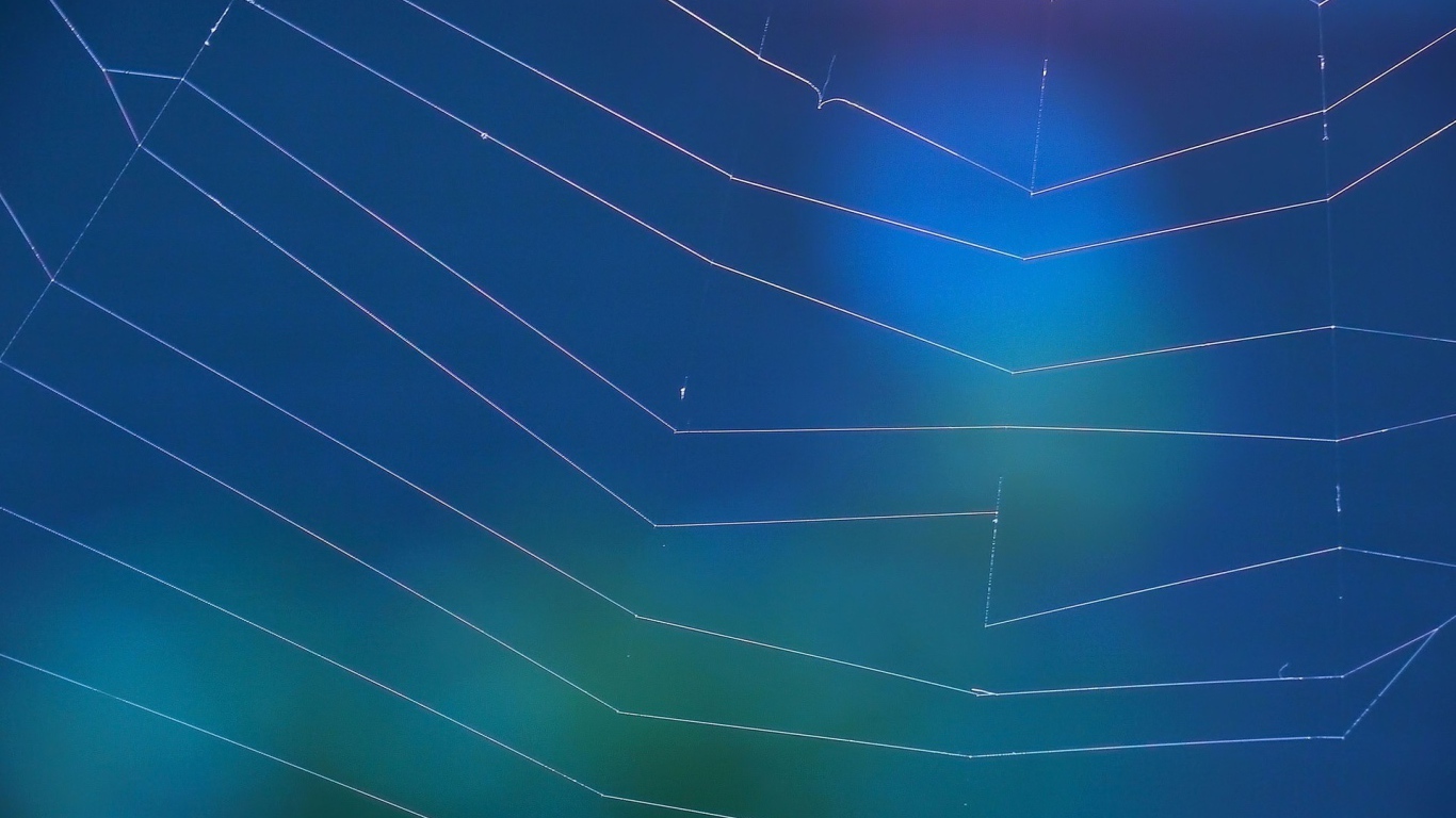 Мировая паутина