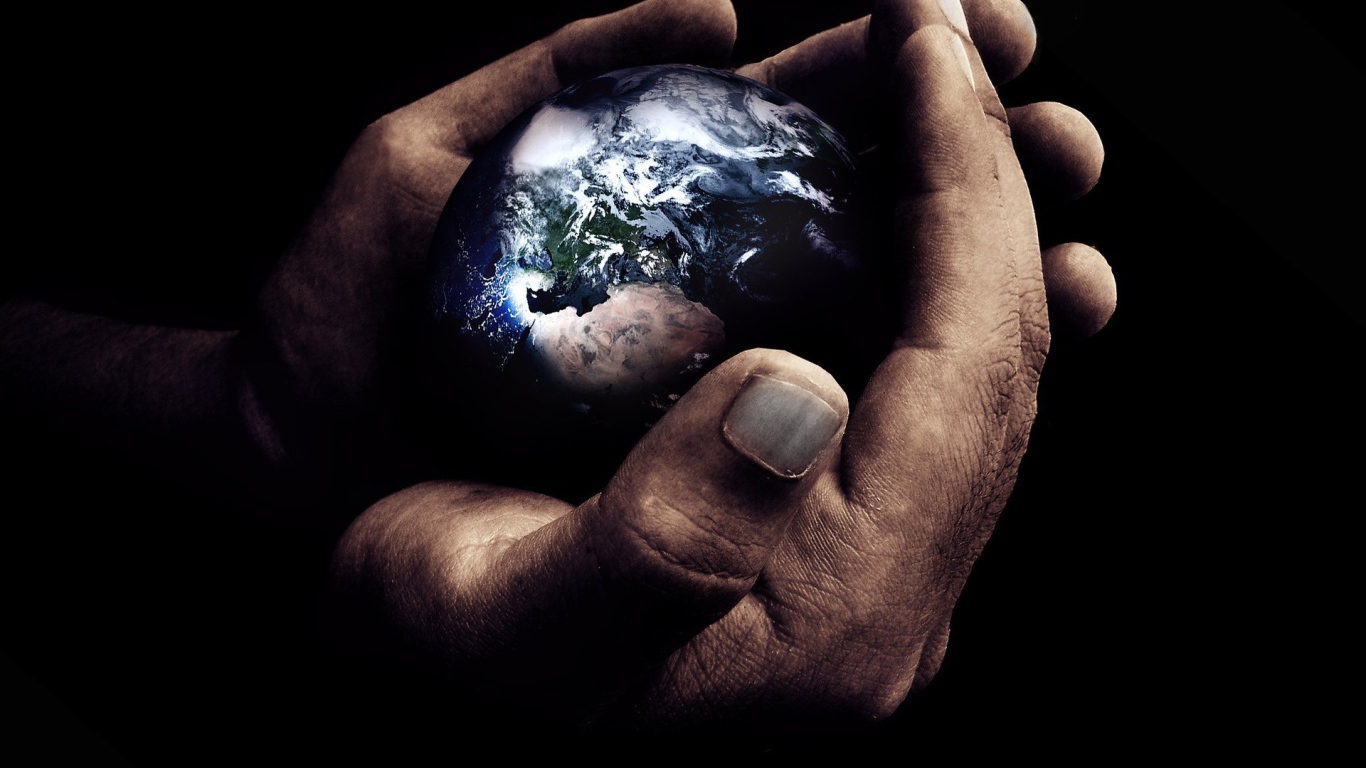 Земля в рабочих руках