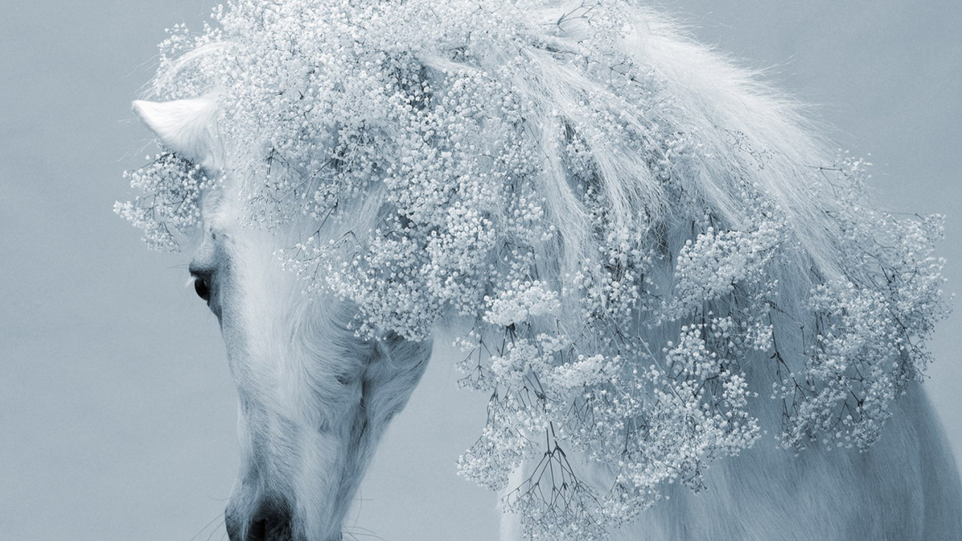 Зимняя лошадь