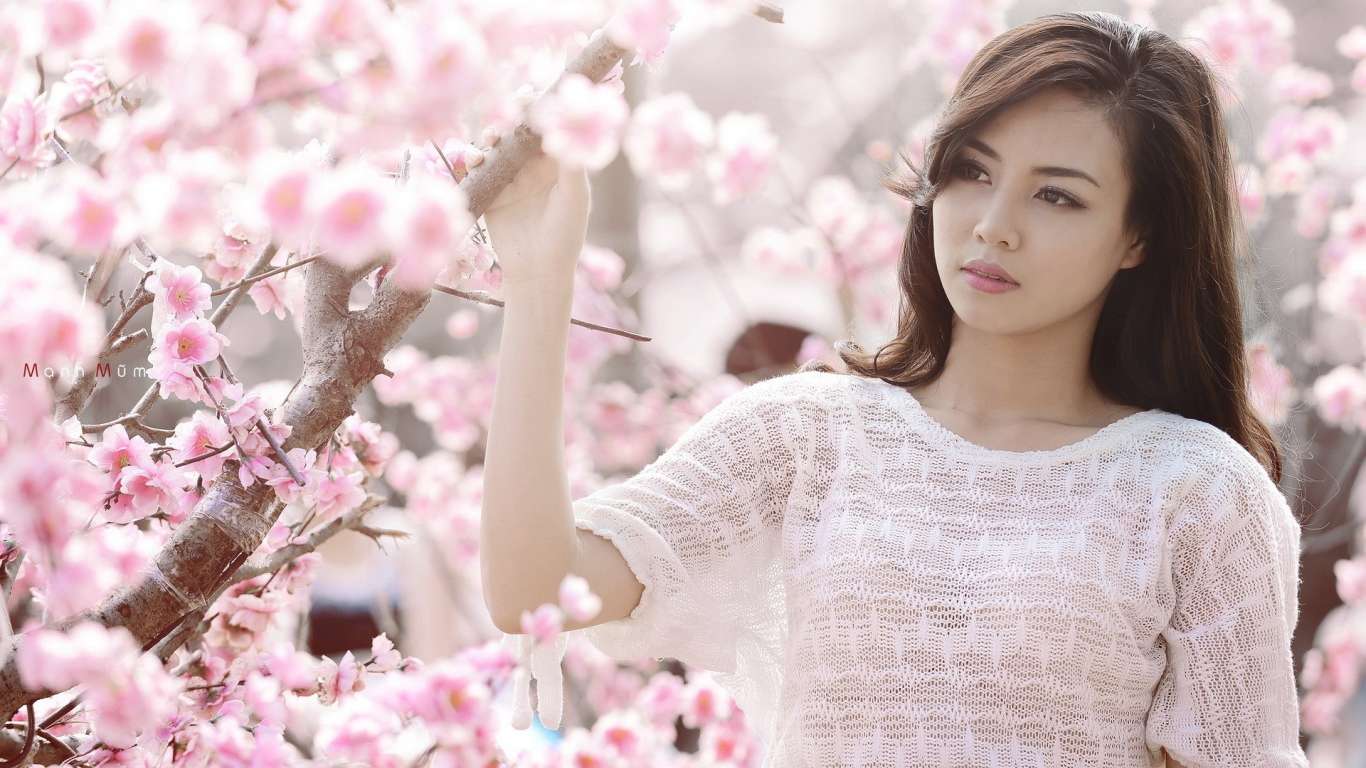 Весеннее цветение вишни