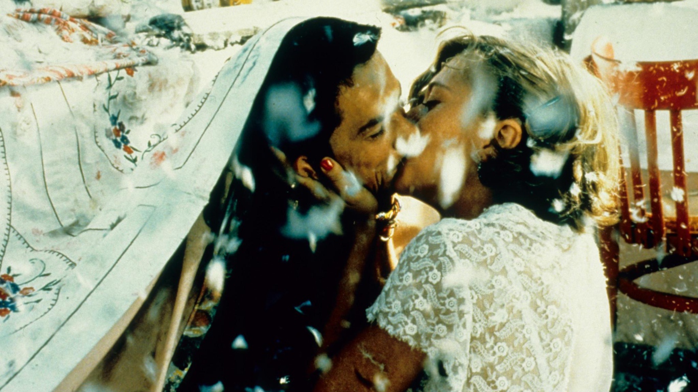 Чёрная кошка, белый кот