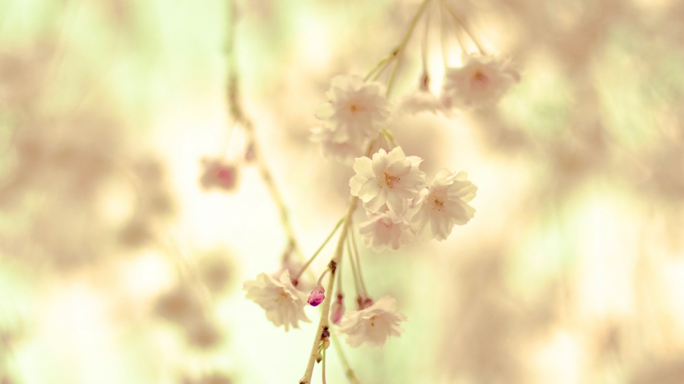 Цветочная веточка