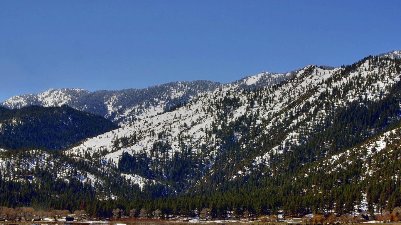 Горные защитники