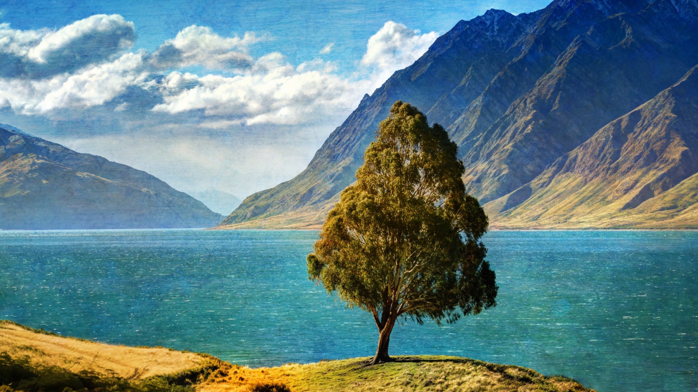 Дерево у озера