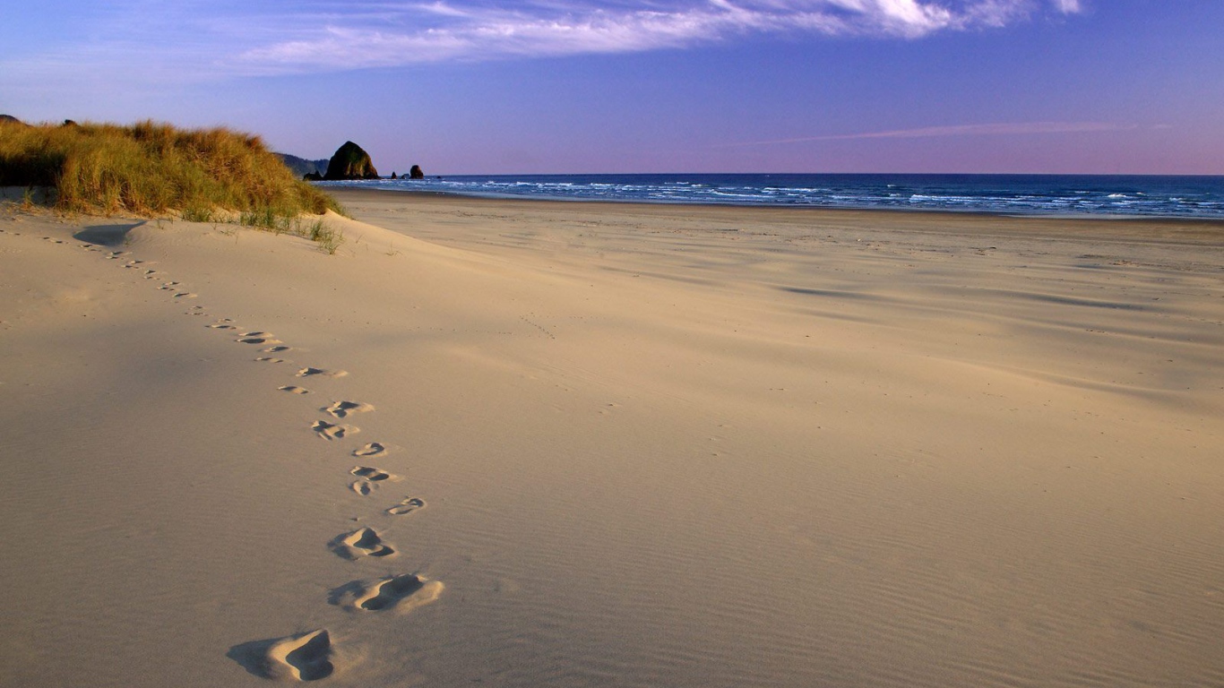 Следы на песке