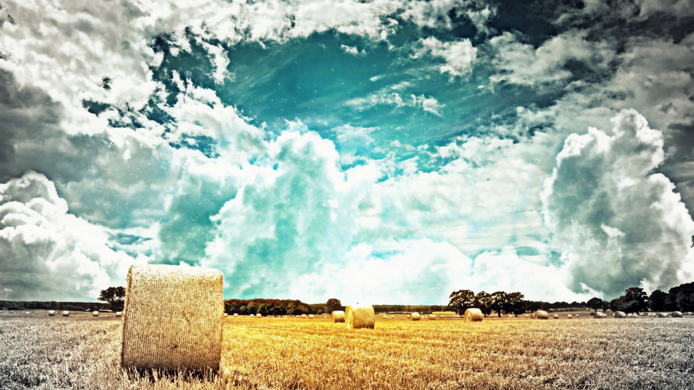 Тучи над полем