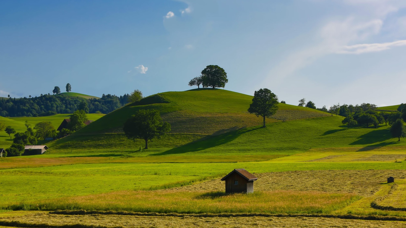 Урожайные поля