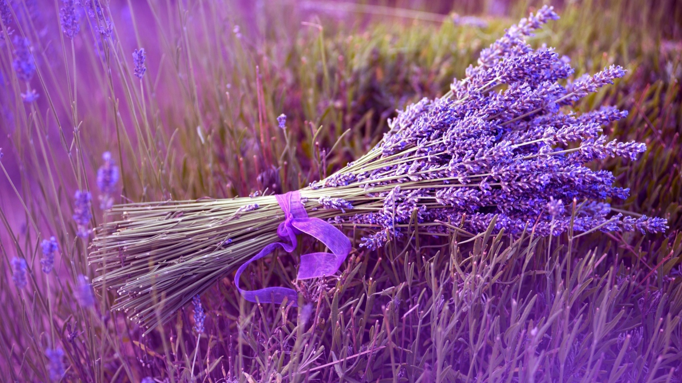 Букет из синих полевых цветов