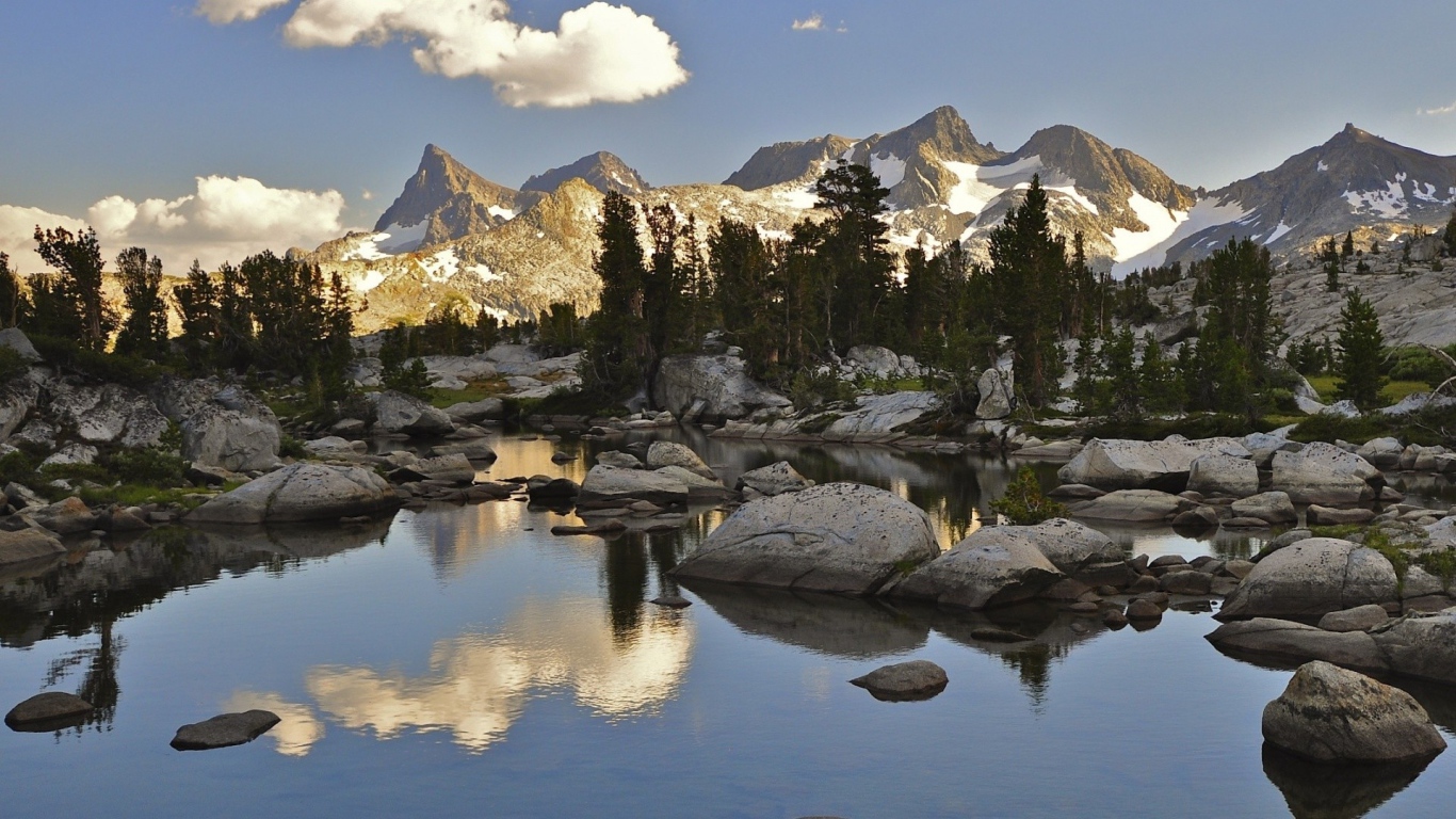 Хвойный Лес в горах