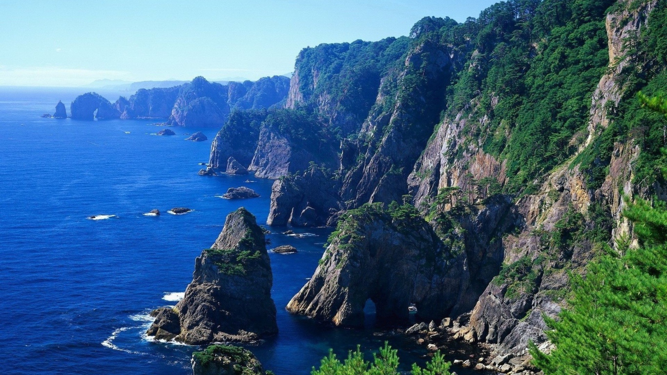 На скалах растет лес