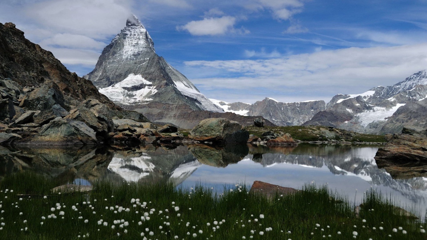 Горный пейзаж с озером и белые цветы