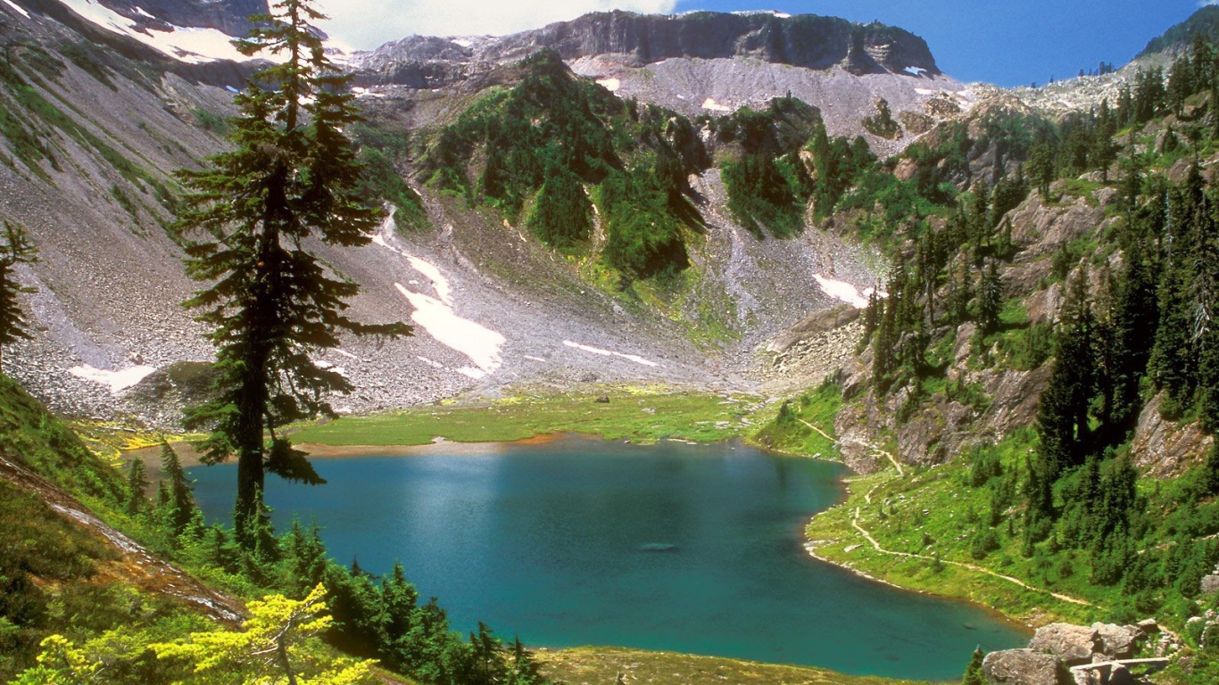 Горный пейзаж с деревом и озером