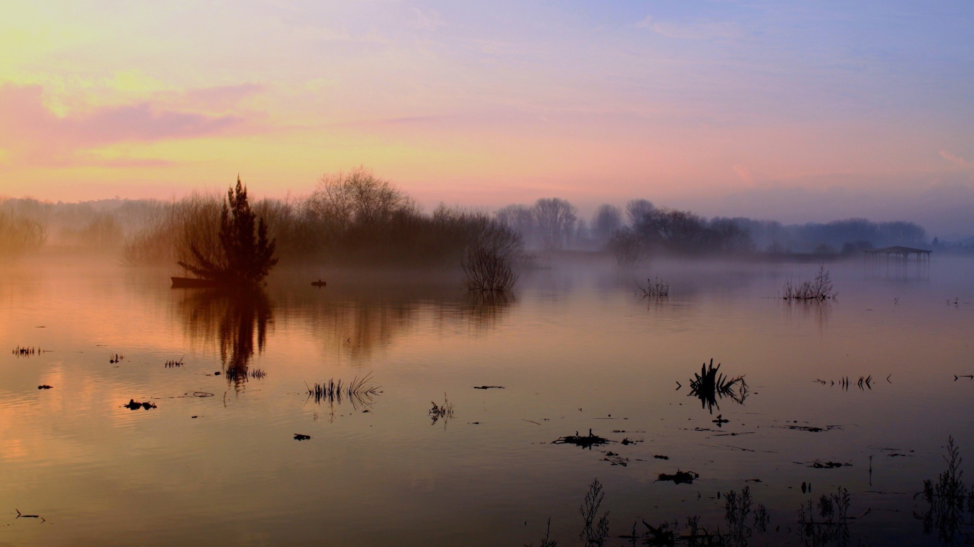 Туман над озером осенью