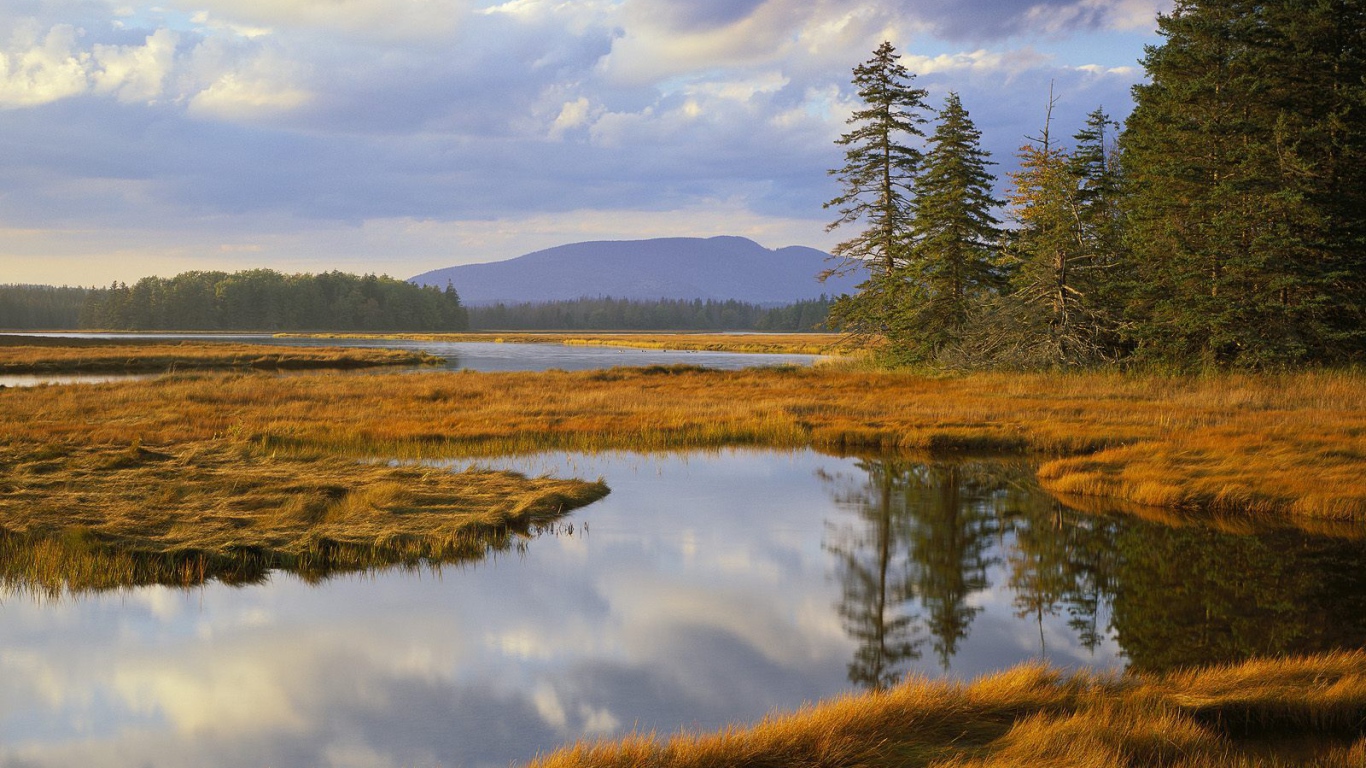 Озеро заросшее травой