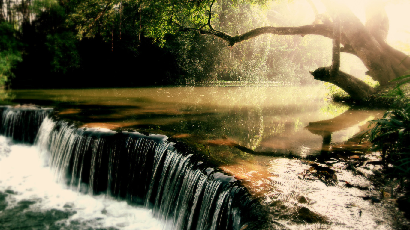 Заросшая река с водопадом