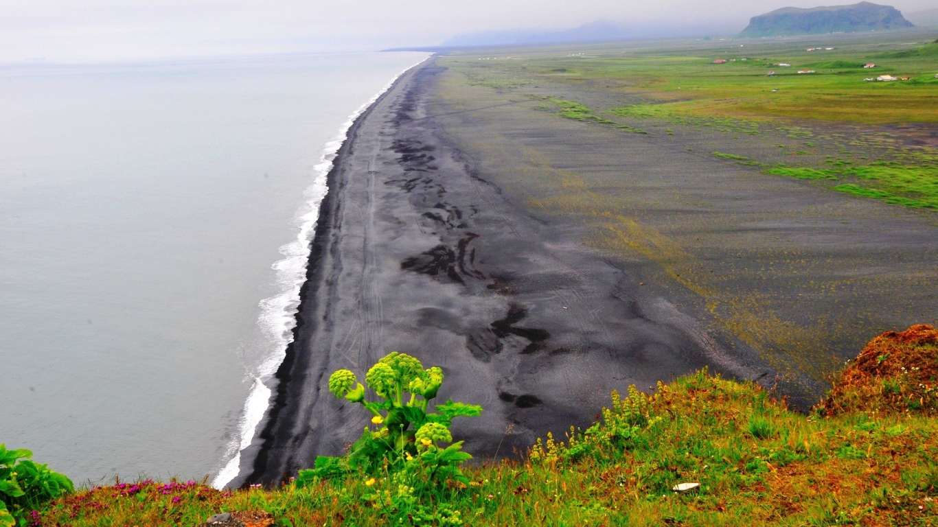 Морской пейзаж с растением