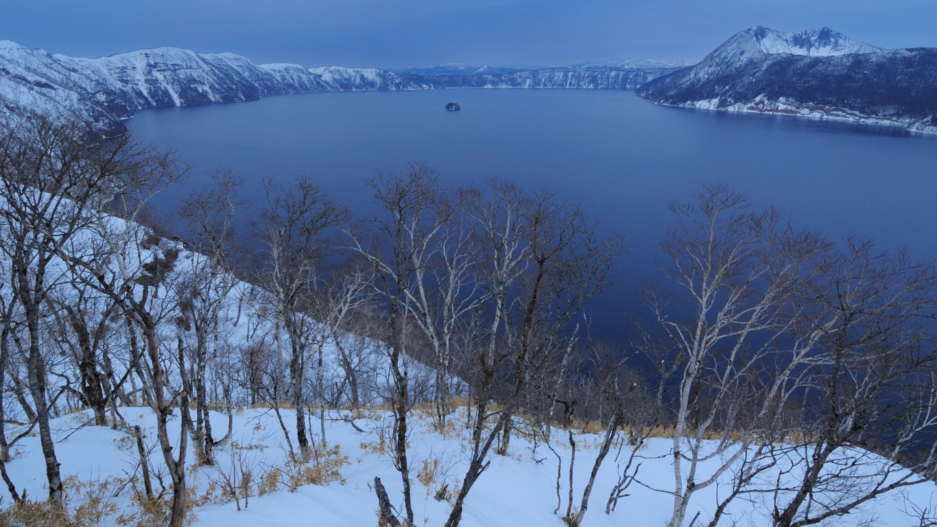 Дерево над морем