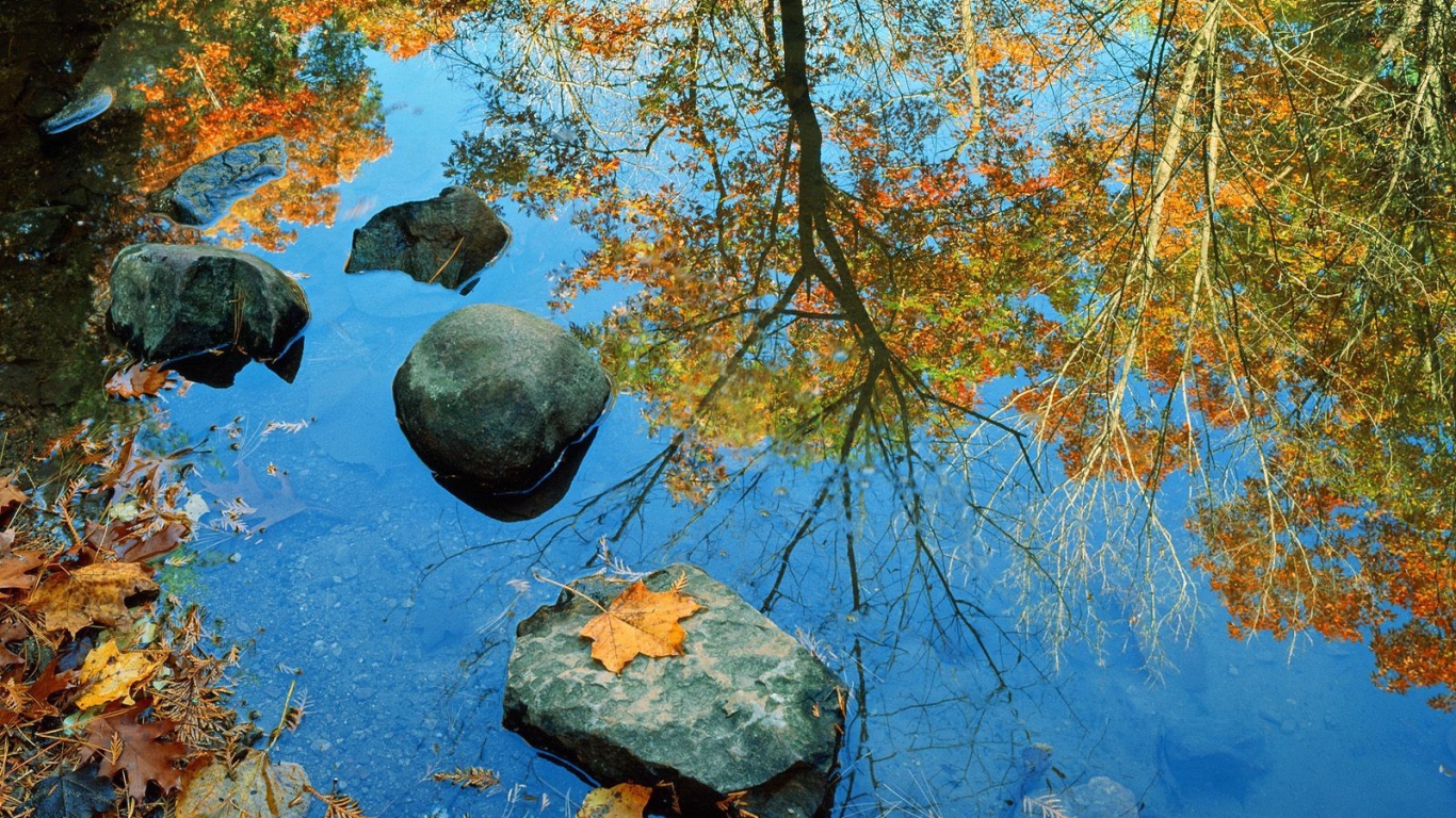 Autumn reflection in water