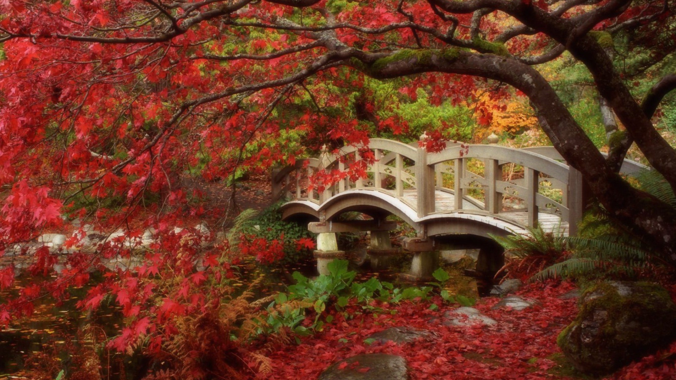 Красная осень в парке