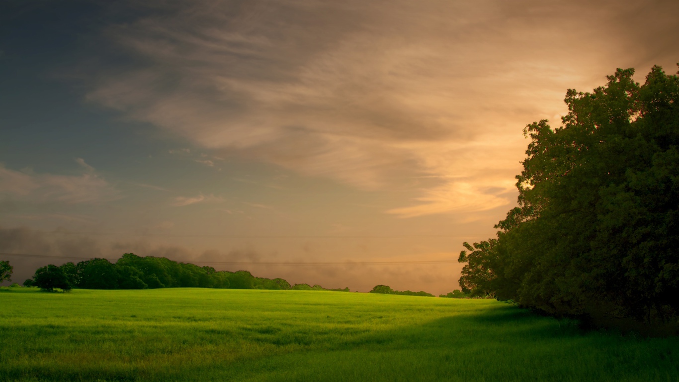 Закат на зеленом поле