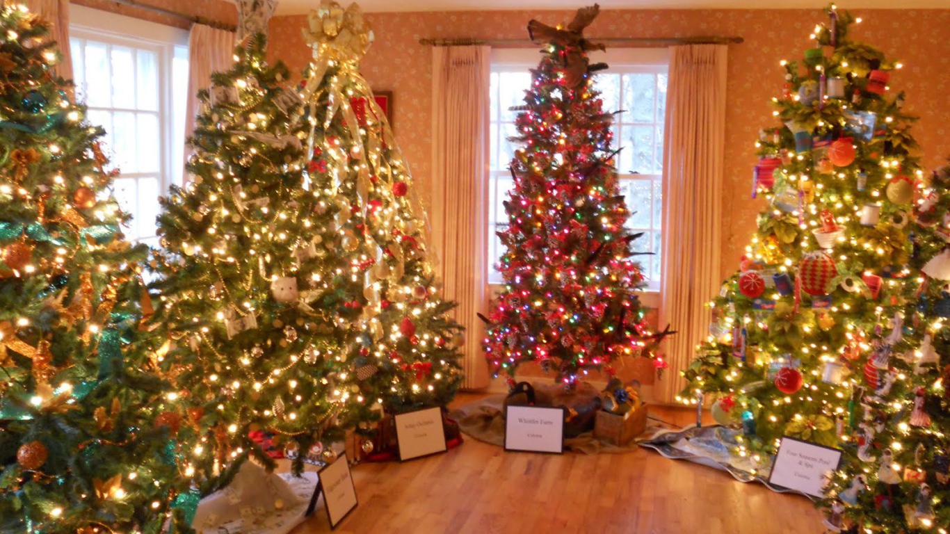 Много новогодних елок