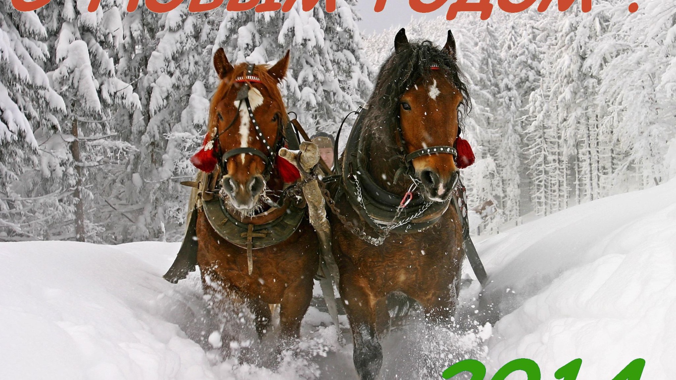 С новым годом 2014, лошадки бегут по снегу