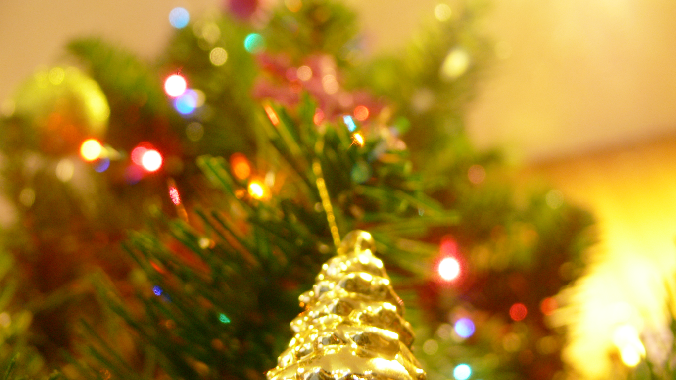 Новогодняя елка в ярких огнях