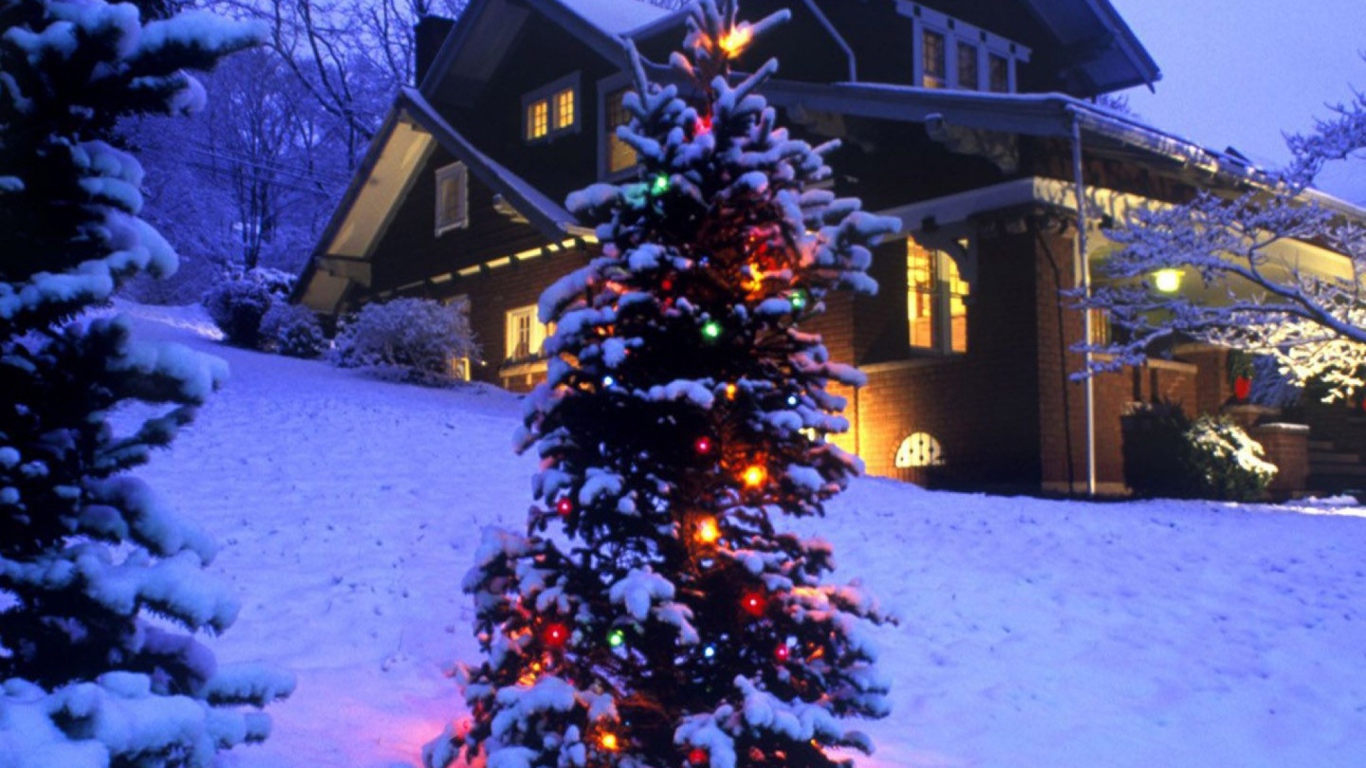 Новогодняя елка в зимнем лесу