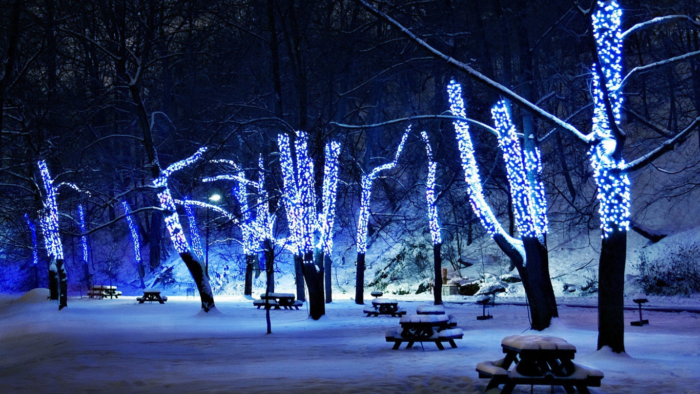 Новогодняя елка в зимнем парке