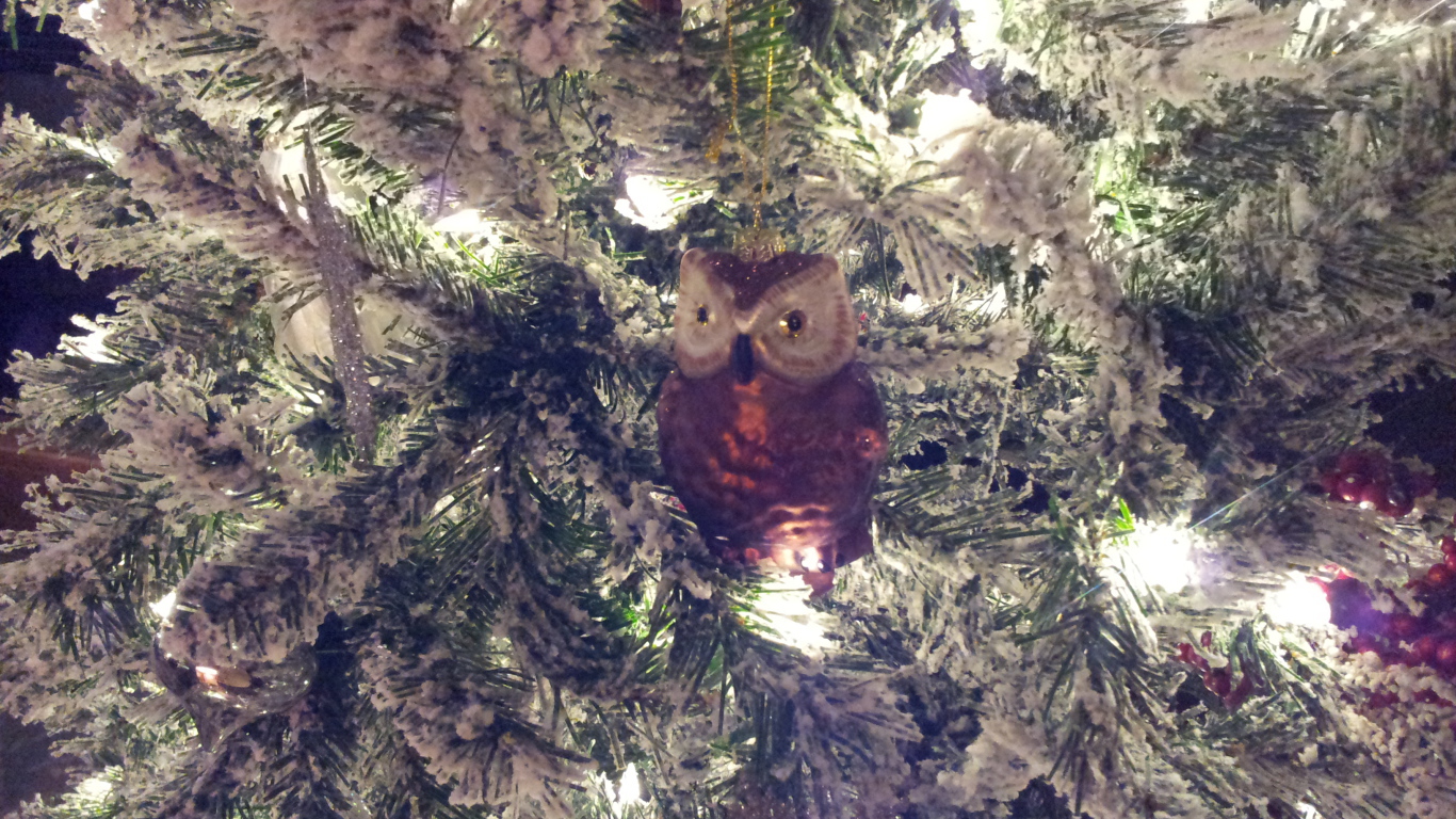 Зимний снег новогодняя елка