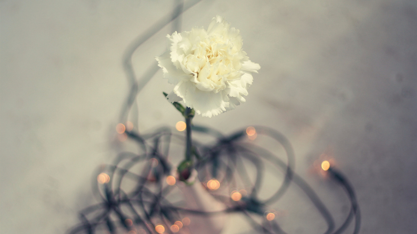 Цветок гирлянда