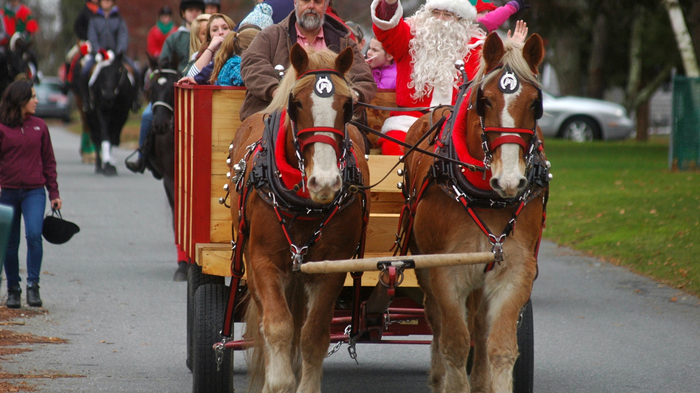 Дед мороз на лошади