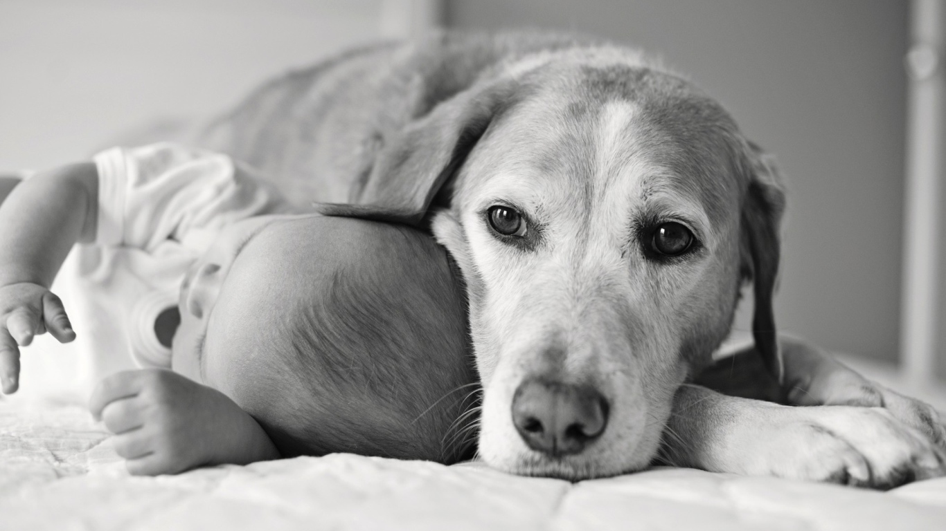 Собака спит с ребенком