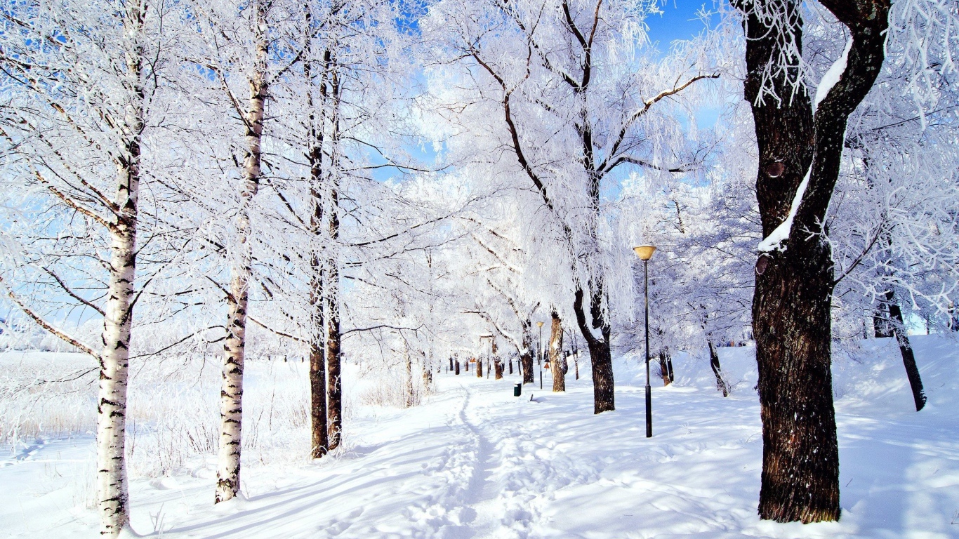Зимняя дорога в парке