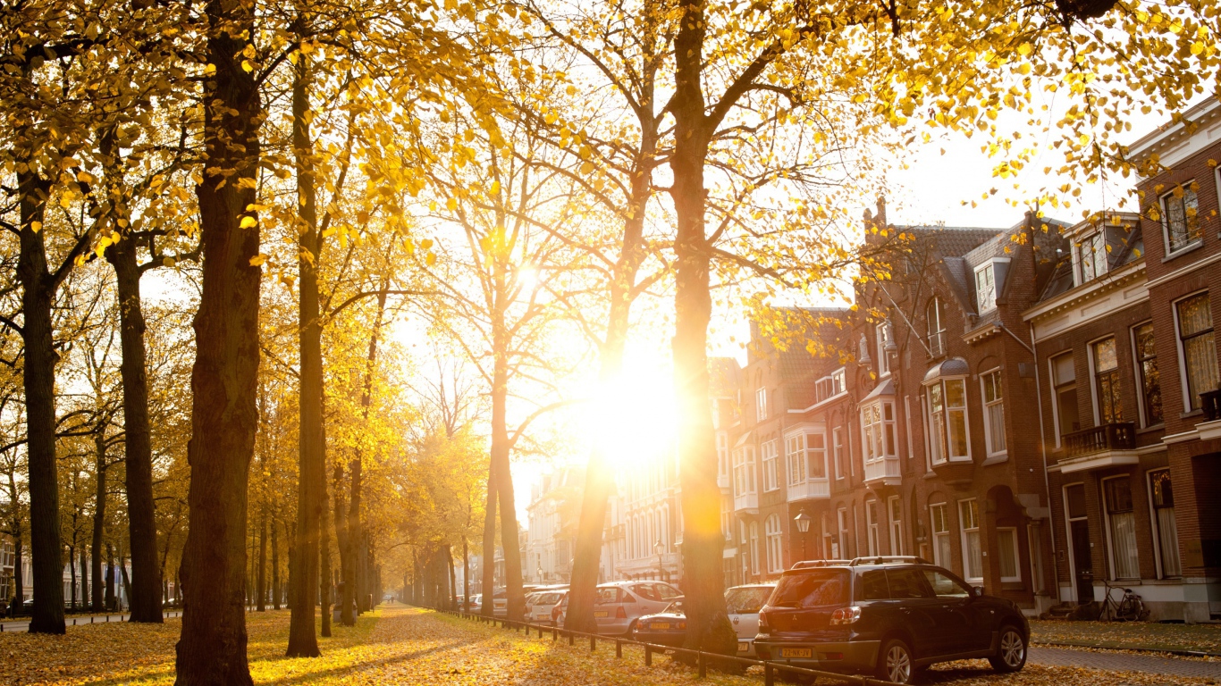 Осенний день в Утрехте