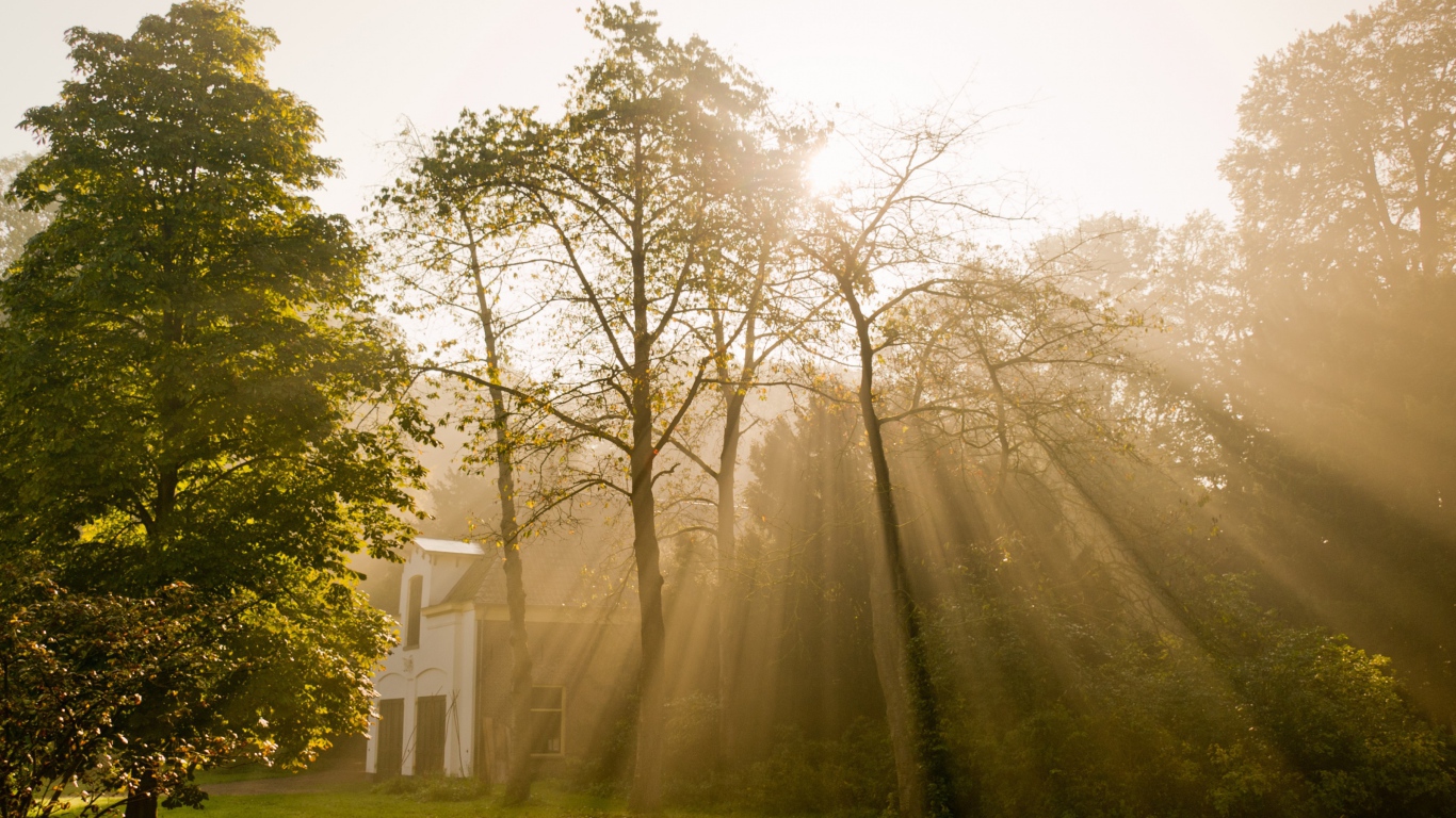 Солнце над Амстердамом