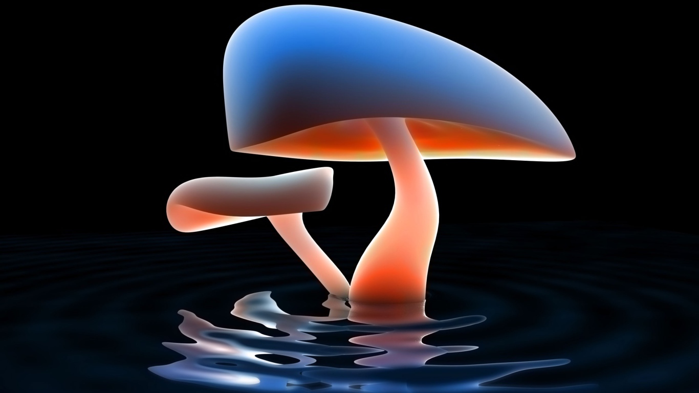 Озеро грибов